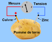 Patate