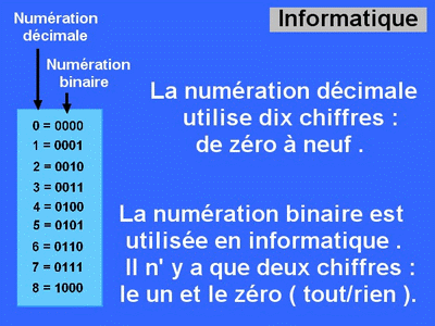 FicheBIN