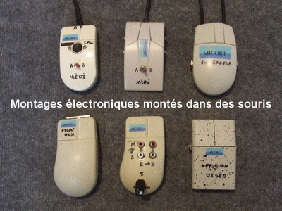 Souris