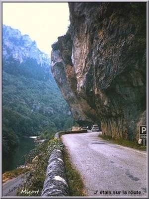 Image0003.gif